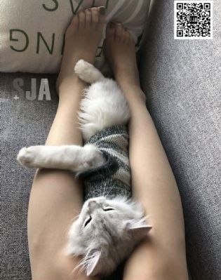国产免费观看av_720神马在线观看